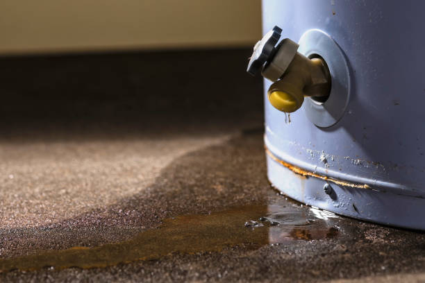 Best Ceiling water damage repair  in Lake Tansi, TN