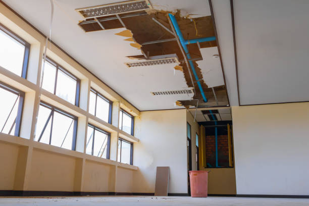 Carpet water damage restoration in Lake Tansi, TN