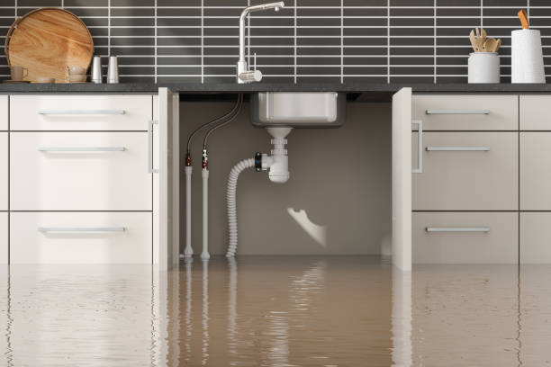 Lake Tansi, TN Water damage restoration Company