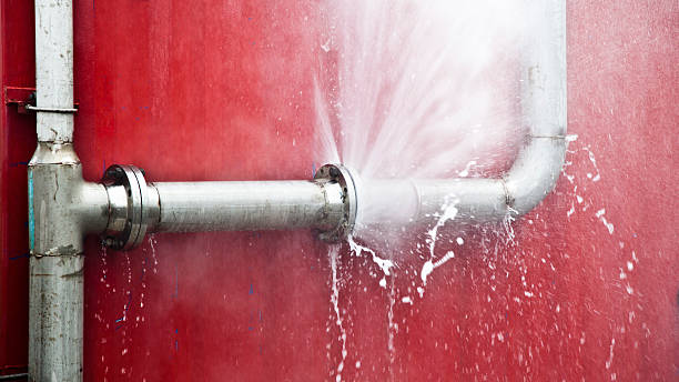 Best Basement water damage restoration  in Lake Tansi, TN